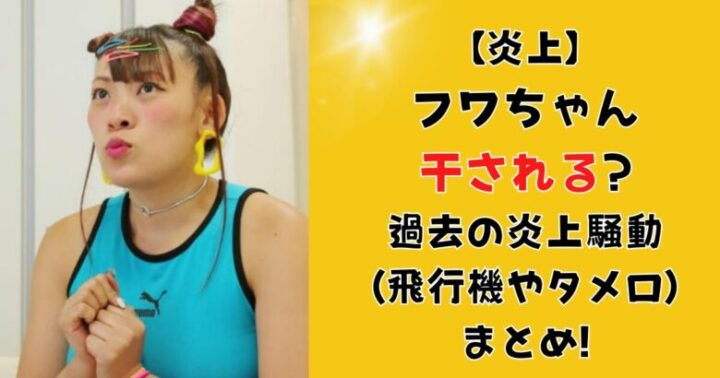 【炎上】フワちゃん干される?過去の炎上(飛行機やタメ口)まとめ!今後どうなる?