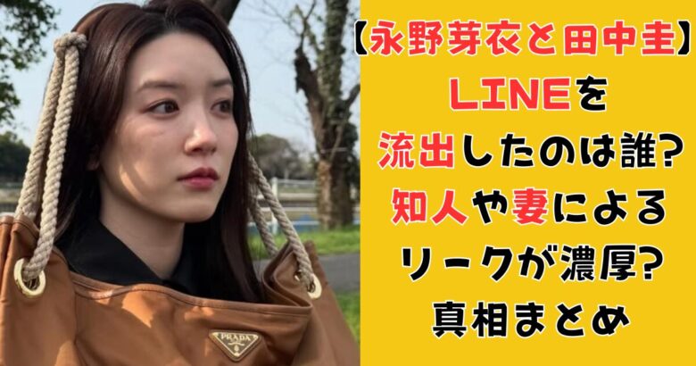 永野芽衣と田中圭のLINEを流出したのは誰?知人や妻によるリークが濃厚?真相まとめ